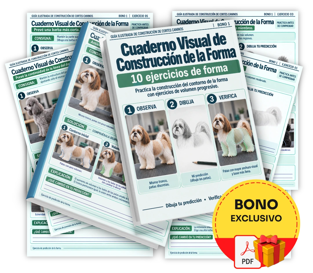 Cuaderno Visual de Construcción de la Forma